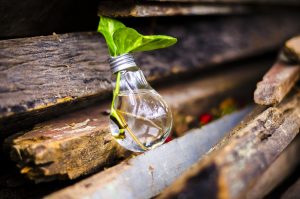 Economia Circolare E Sostenibilità