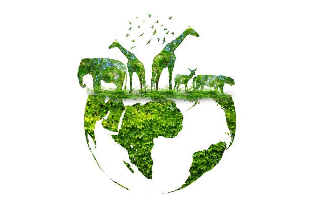 biodiversità