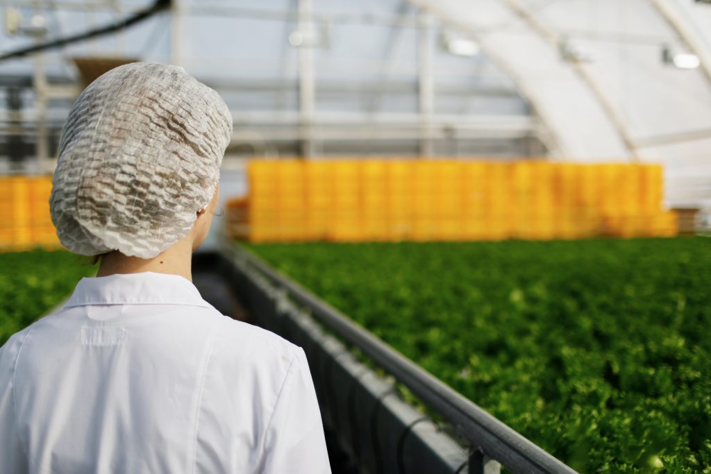Smart farming 