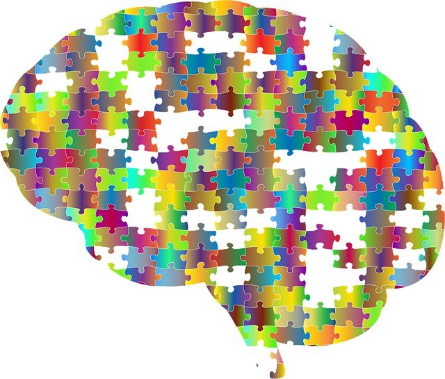 cervello frammentato