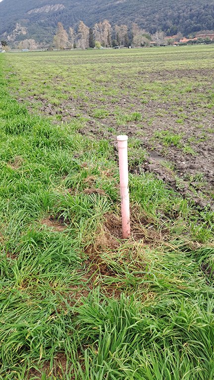 microplastiche nel terreno