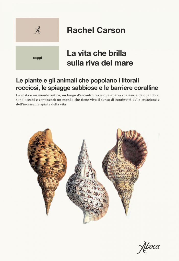 riva