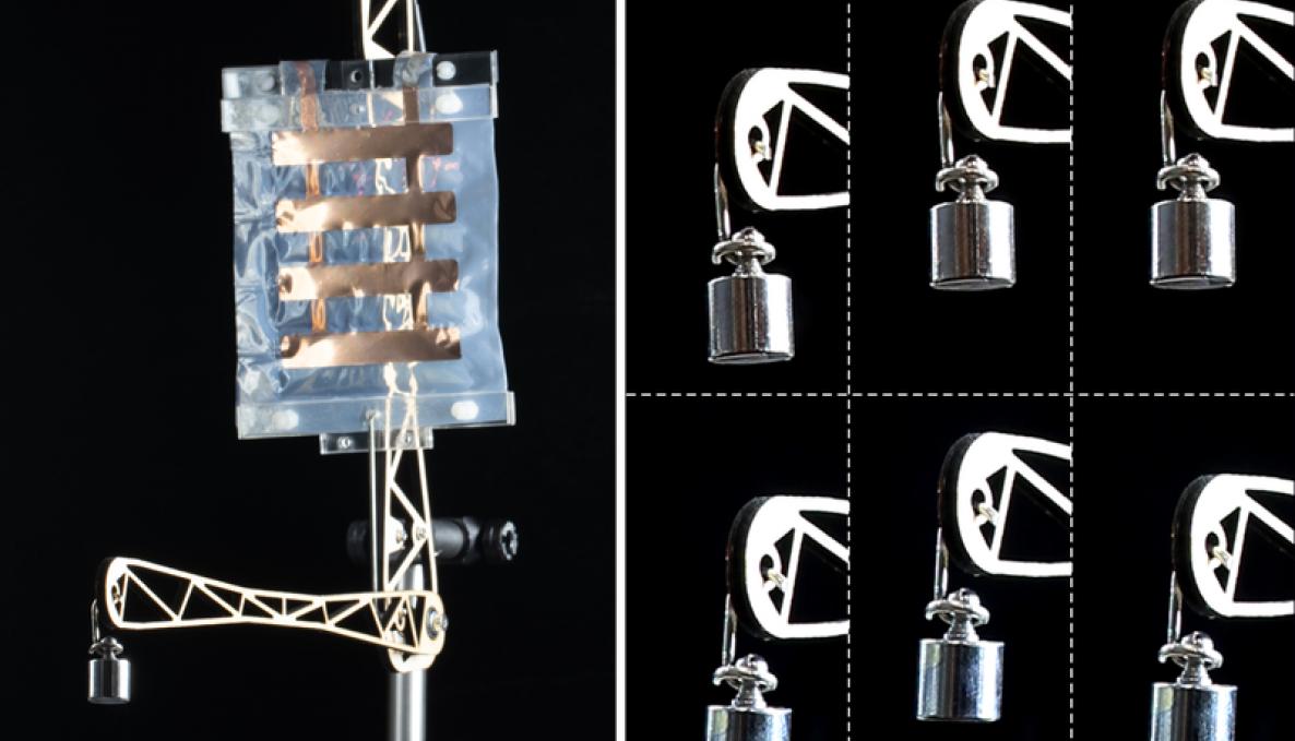 muscoli artificiali