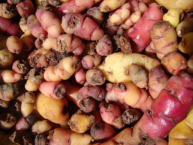 patate miste