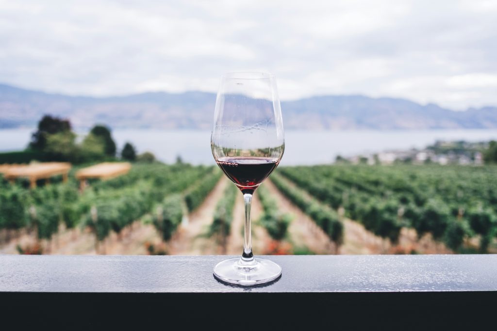 vino di qualità 