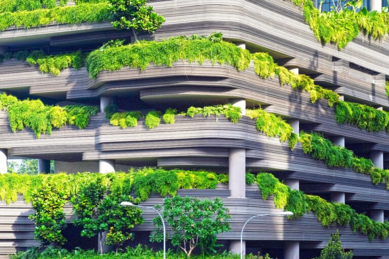 LA STARTUP CHE “CORREGGE” L’INQUINAMENTO CON LE PIANTE