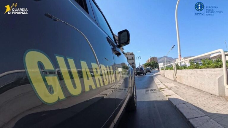 Truffa su fondi veterinari a Palermo, sequestro da 175 mila euro
